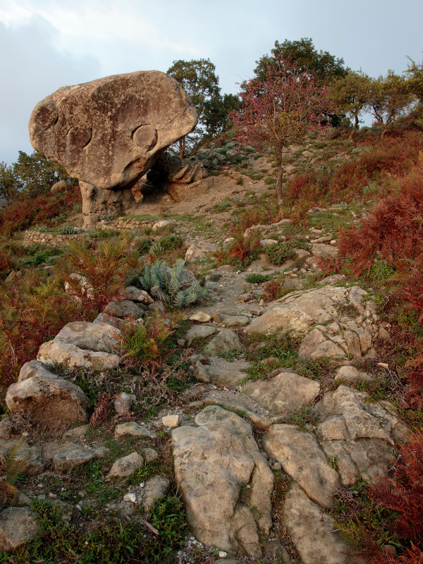 Rocca del Drako
